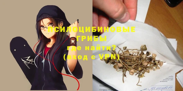 гидропоника Абаза