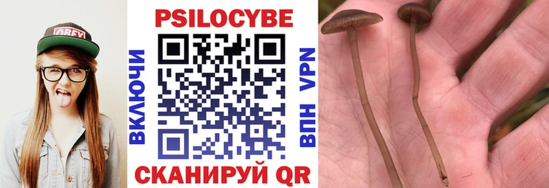Псилоцибиновые грибы GOLDEN TEACHER  Южа 