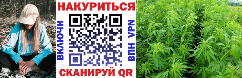 Конопля ГИДРОПОН  мориарти как зайти  Южа  ОМГ ОМГ tor 